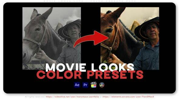 Movie-Looks-LUTs-Color-Presets-Pack-1920x1080-1.jpg