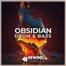 Free Rewind Samples Obsidian: Drum and Bass (WAV) at GFXInspire