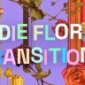 Unleash Creativity with Free Videohive 40119568: Indie Floral Transitions