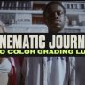 Explore Our Free Cinematic Journey LUTs for Vibrant Storytelling!