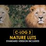 Free Videohive 50848403 Canon C-Log3 Nature and Standard LUTs