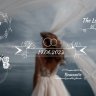 Free GFXInspire Resources: Videohive 49483323 Minimal Wedding Titles