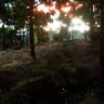 Free Unreal Engine - Procedural Nature Generator v1.0.2