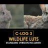 ree Videohive 50930916 C-Log3 Wildlife and Standard Color LUTs