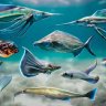 Free Unreal Engine - Alien Fish for School System - Scifi Fantasy Creatures
