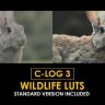 Elevate Your Edits with Free GFXInspire C-Log3 Wildlife and Standard Color LUTs