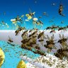 Experience the Freedom of Free Unreal Engine - Advanced Fly Insects System
