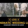 Free Videohive 50923724 C-Log3 Cinematic Wedding and Standard LUTs