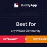 Community Website with Free BuddyApp - Mobile First Community WordPress Theme