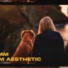 Free Videohive 51251648 16mm Film Aesthetic Overlays