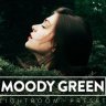 Free 10 MOODY GREEN Lightroom Preset (LRTEMPLATE, XMP, DNG)