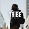 Download the Free Tribe LUT on GFXInspire