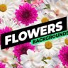 Free Videohive 53769761 Flowers Backgrounds