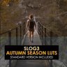 Free Slog3 Autumn Season LUTs: Enhance Your Autumn Videos with GFXInspire