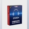 [Premium] 2500+ Cinematic Sound Effects for Filmmakers