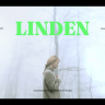 Free Videohive 54756587 Cinematic Vibes Typography / Ae