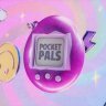 Free Pocket Pals Modular Intro