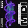 Free Avant Samples Dubstep MIDI 01 (WAV, MIDI)