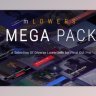 Free MotionVFX mLowers Mega Pack