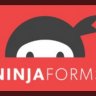 [Premium] Ninja Forms Excel Export v3.3.5