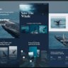 [Premium] BlueHope – Whale and Marine Conservation Elementor Template Kit Mar-15