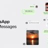 Free Videohive 57285761 WhatsApp Message Tool , GFXInspire