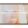 [Premium] Filtergrade - Meisner Media Carnival Powergrades for DVR
