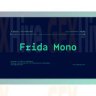 [Premium] MyFonts -TG Frida Mono 6xOTF