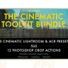 [Premium] DesignBundles - Cinematic Aspect Ratio PS Action & Lightroom Presets